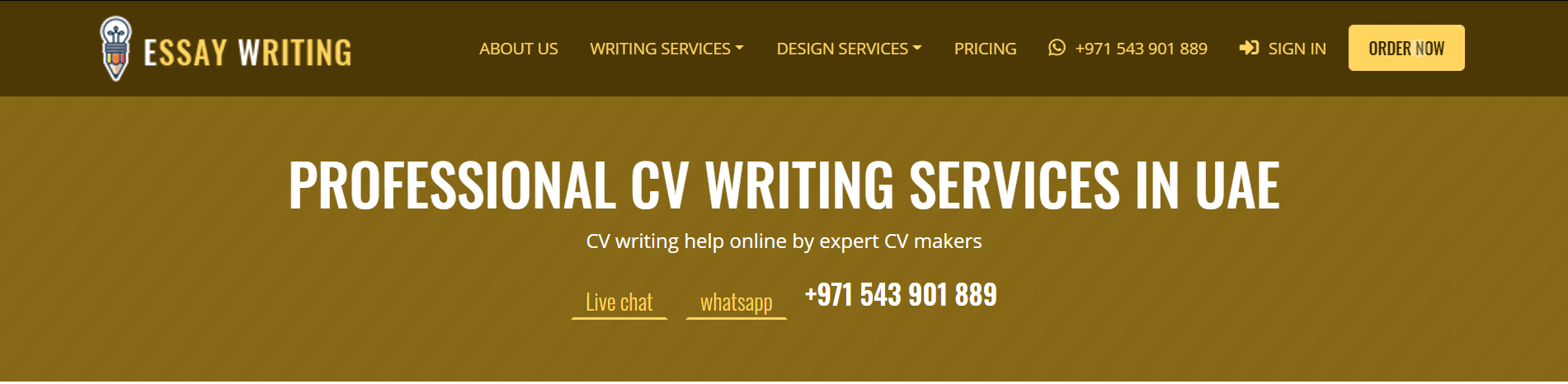 professional cv writing services dubai