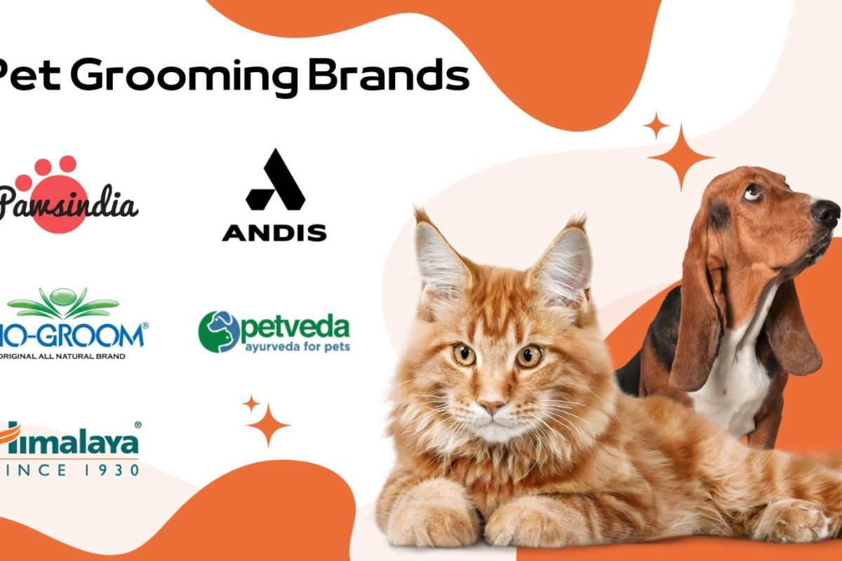 Know the best brands for your pet grooming Dubai News UAE News Gulf News Latest news Arab news UAE Students