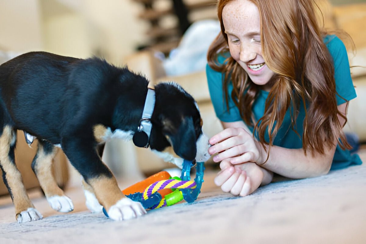 The Rise of Licking Toys: Exploring the Trend and Benefits