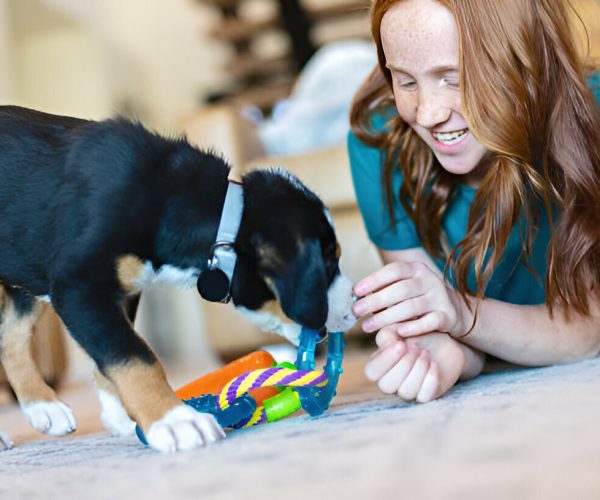 The Rise of Licking Toys: Exploring the Trend and Benefits